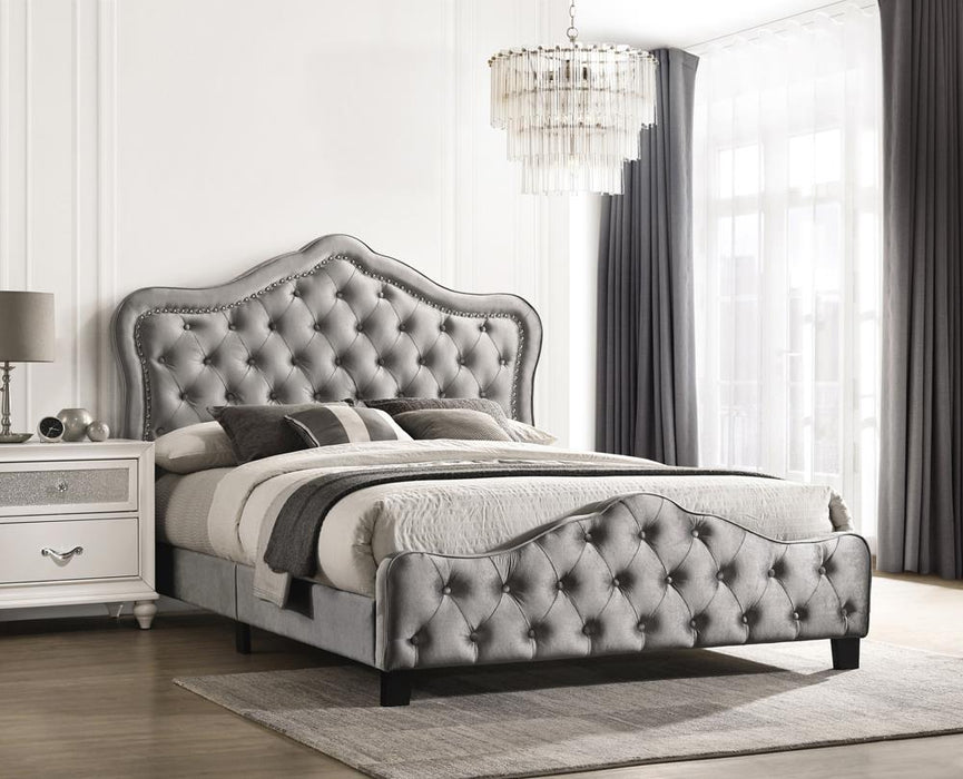 315871Q QUEEN BED image